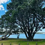 Waterfront Studio Unit Near Auckland Airport