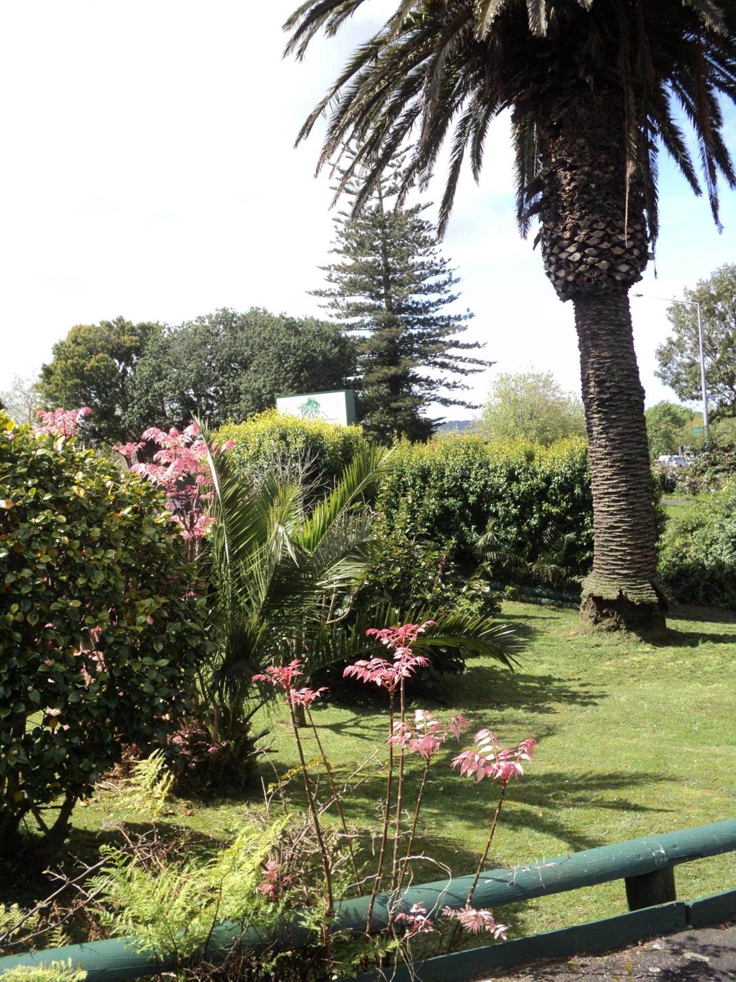Motel New Haven Auckland
