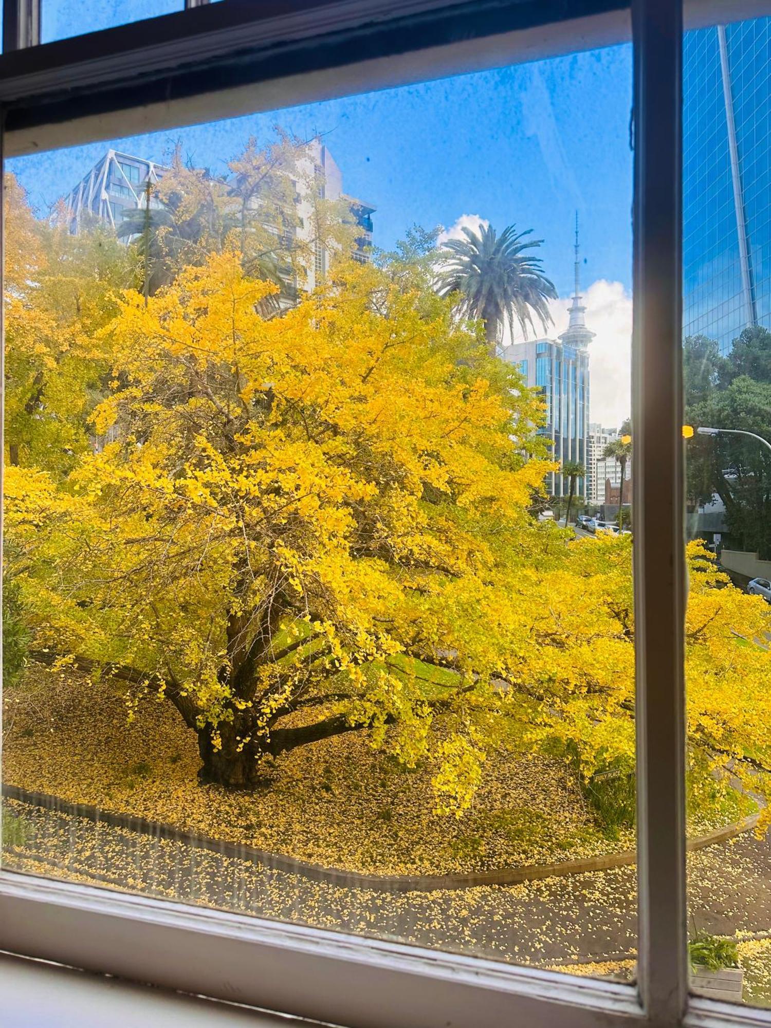 Gamma Hotel Auckland