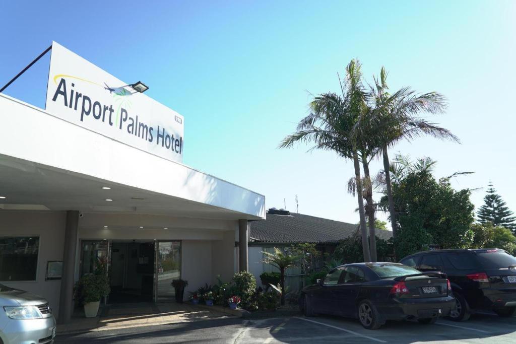 Airport Palms