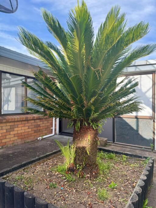 Sweet 9km To Airport Near New Apartment Auckland