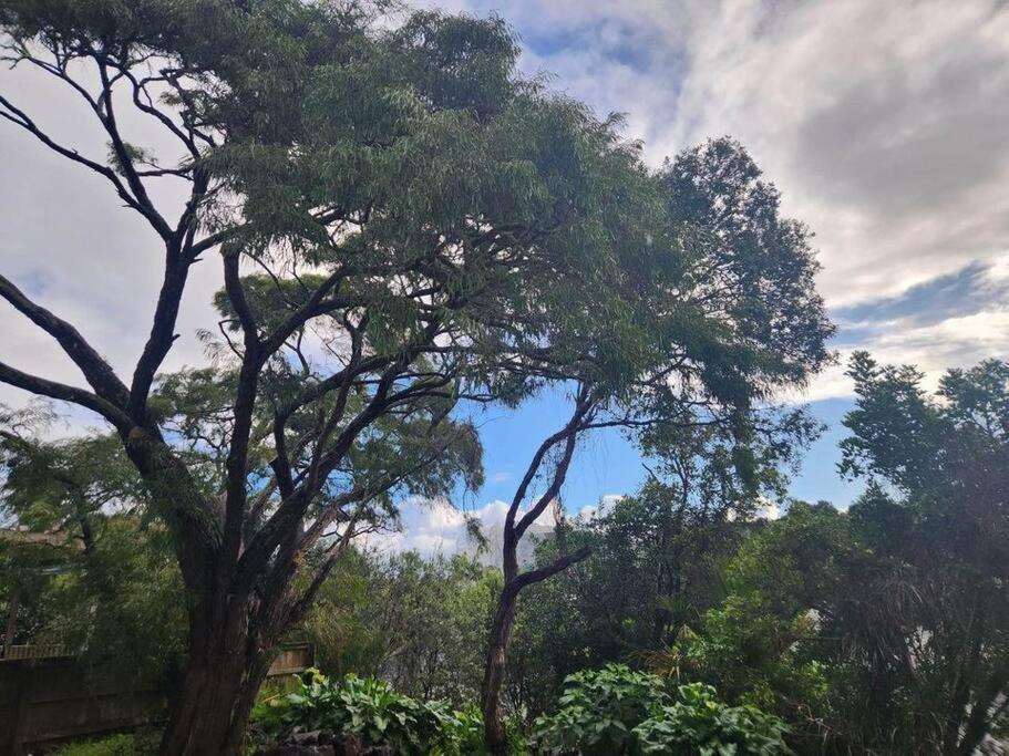 Mt Eden Kingsland At The Heart Of It