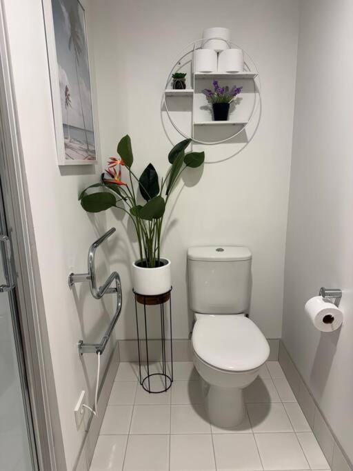 Apartment Stunning 3 Bd - 2 Bth - Pool & Carpark