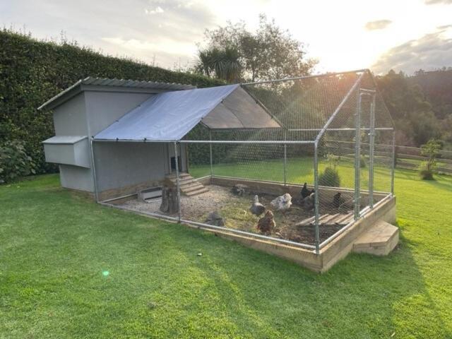 Apartment Country Escape With Tennis Court Auckland