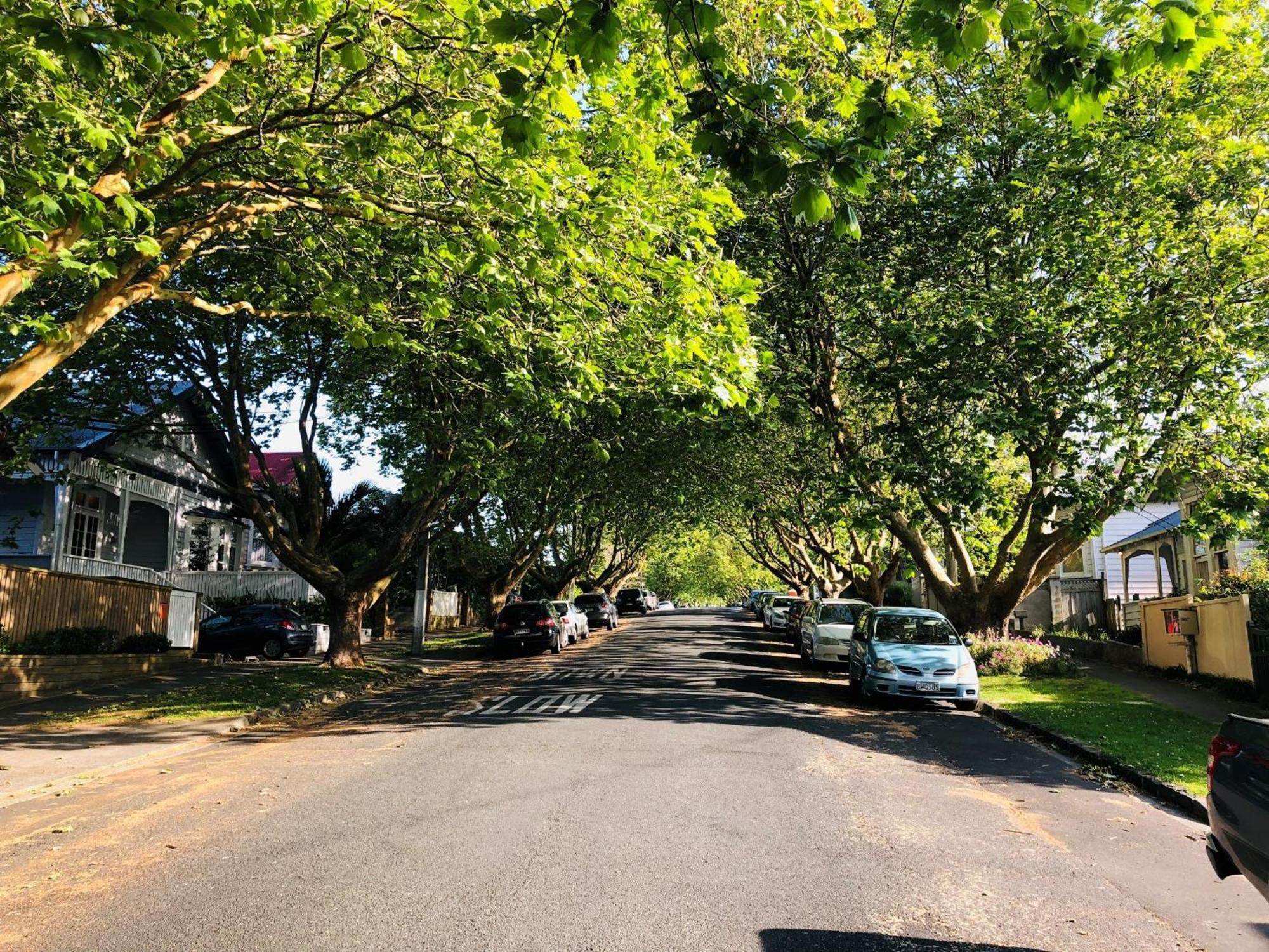 Grey Lynn With Sauna Auckland