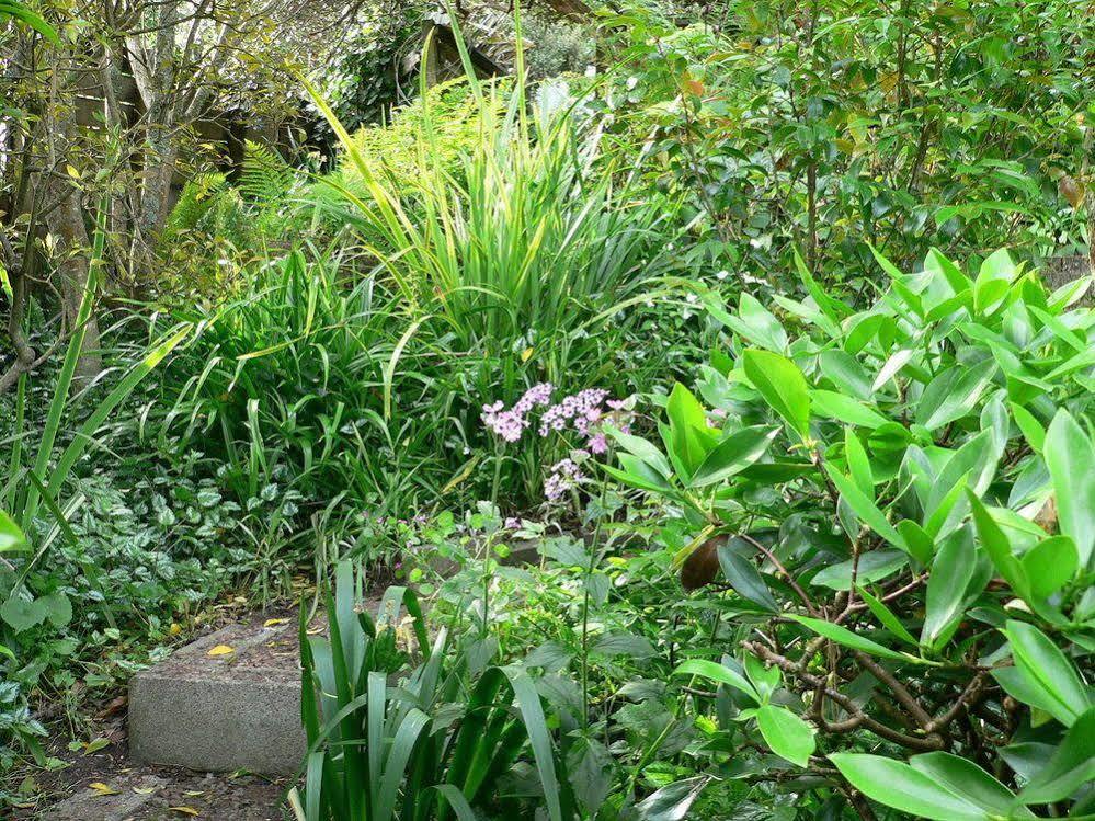 Mount Hobson *
