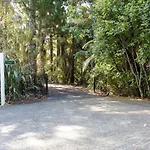 Tree-Top Luxury In The Waitakere Ranges