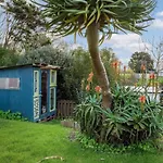 Hollys Abode With Piano And Deck