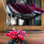 Onehunga Garden Tinyhouse With Parking