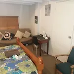 1 Queen Bed And 1 Sofa Bed, Studio B, 25 Glenfell Place, Epsom, Auckland