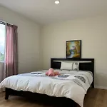 New Lynn Tidy House
