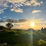 Wheturangi Urban Escape