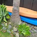Piece Of Paradise