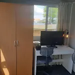 C4 Save Money Budget Affordable Cabin With Comfort! Cabin 4