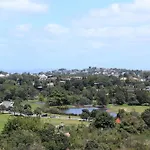 Tuis Nest Auckland Nz