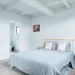 Sunny Cosy Rooms In Auckland Nice Garden Bush View