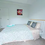 Sunny Cosy Rooms In Auckland Nice Garden Bush View