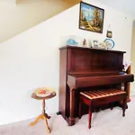 Sunny Room In West Auckland