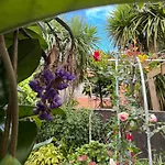 Rose House