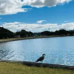 Waterfront Studio Unit Near Auckland Airport