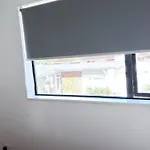 Auckland Home Welcomes Tourists