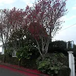 Wisteria Studio Cottage