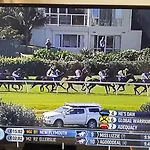 Racecourse Deluxe
