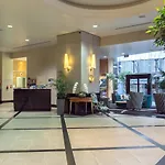 Gorgeous Apartment! Nice Views, Pool And Gym.