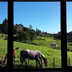 Mansion Of Love