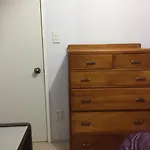 Bush Paradise