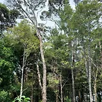 Bush Paradise