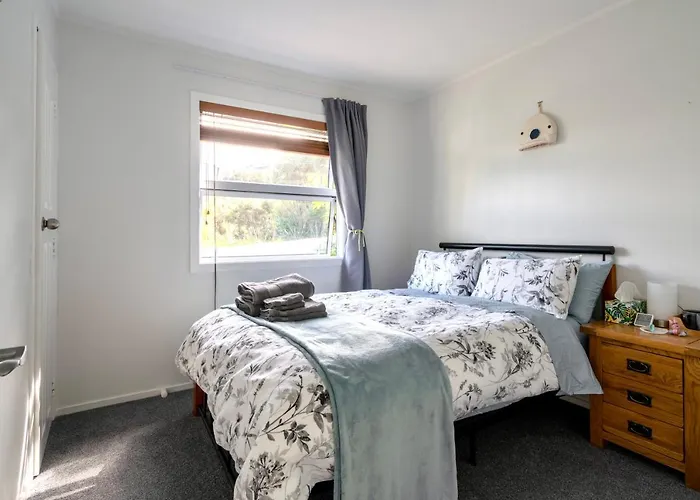 Shared Home In Albany