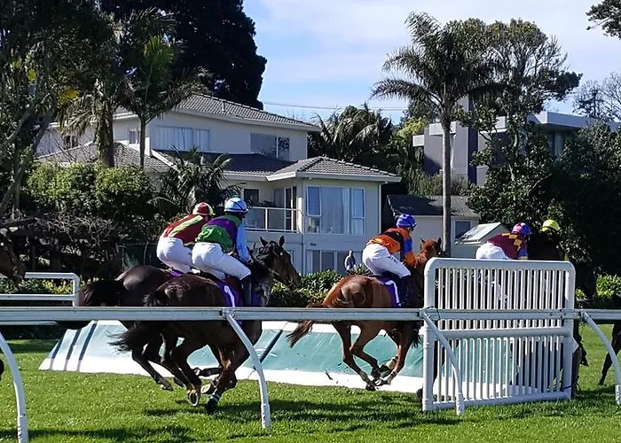 Racecourse Deluxe