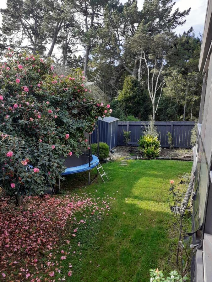 Kiwi Hosts Auckland