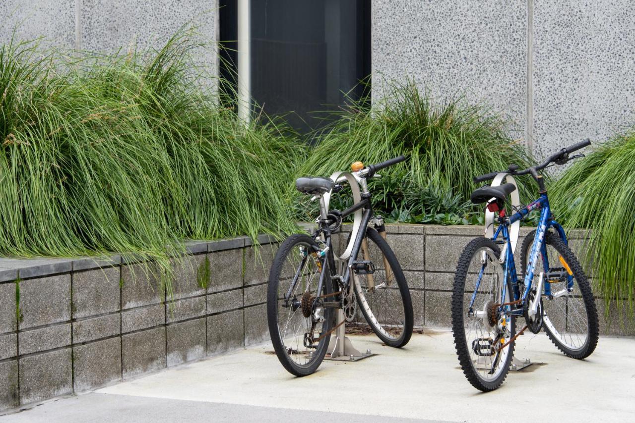 Carlaw Park 3* Auckland