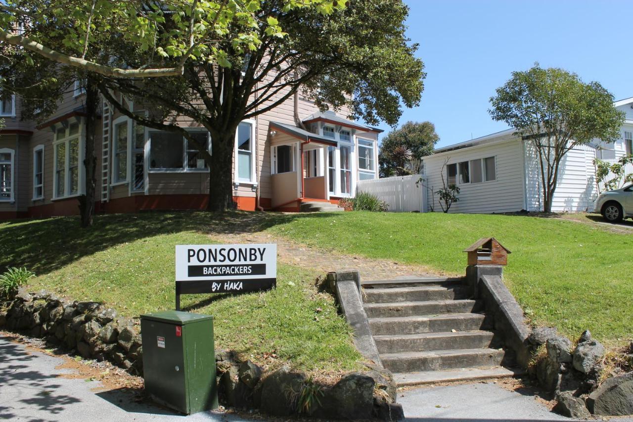 Haka Ponsonby Albergue