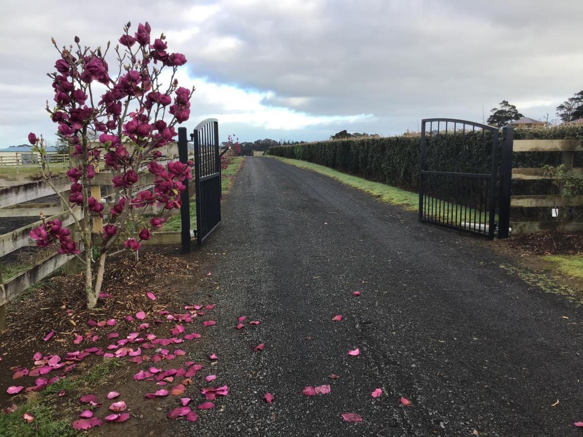 Self Contained Pukekohe