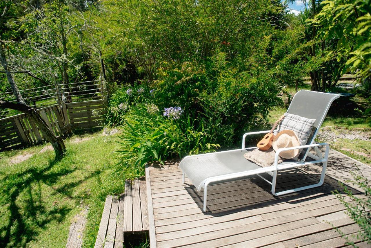 Fat Cat Eco Hostel Auckland