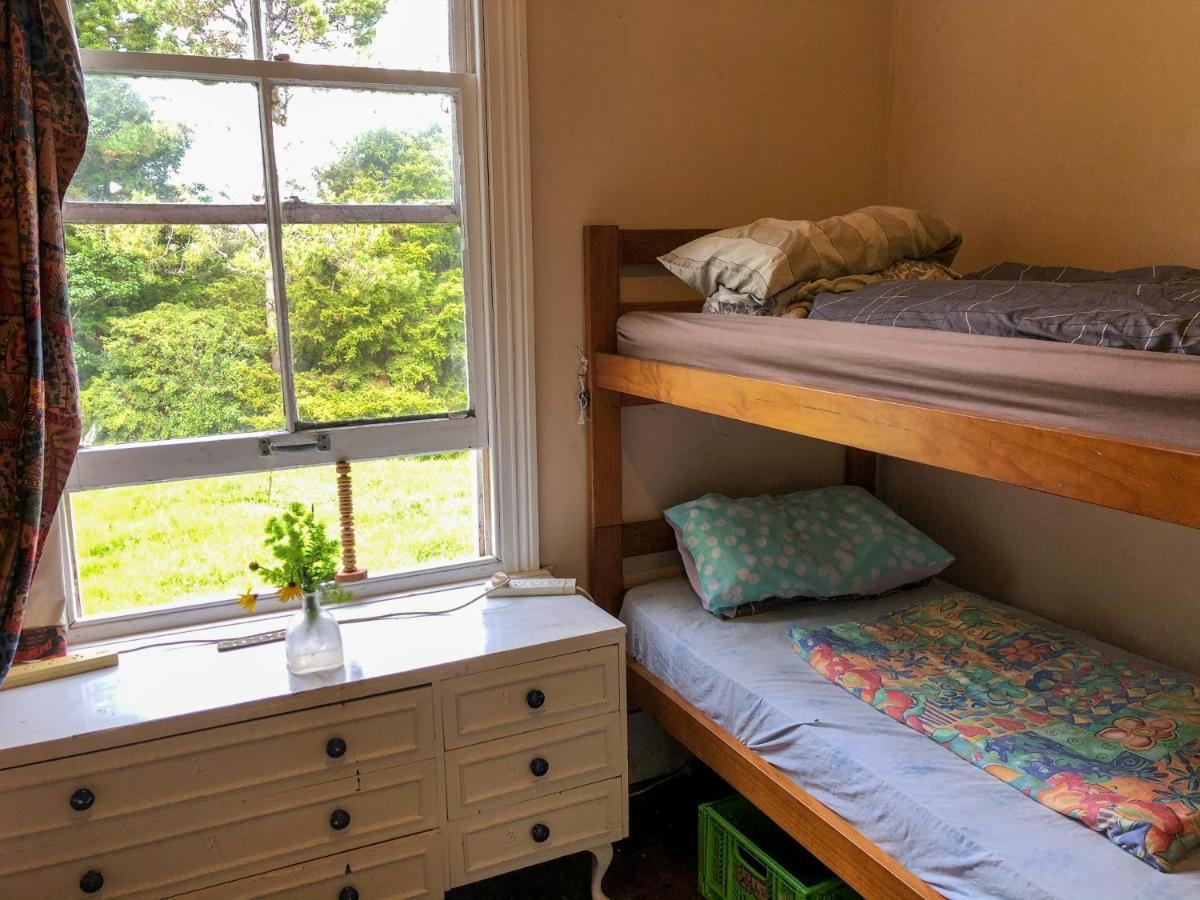 Fat Cat Eco Hostel