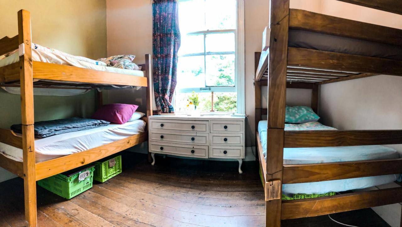 Fat Cat Eco Hostel * Auckland