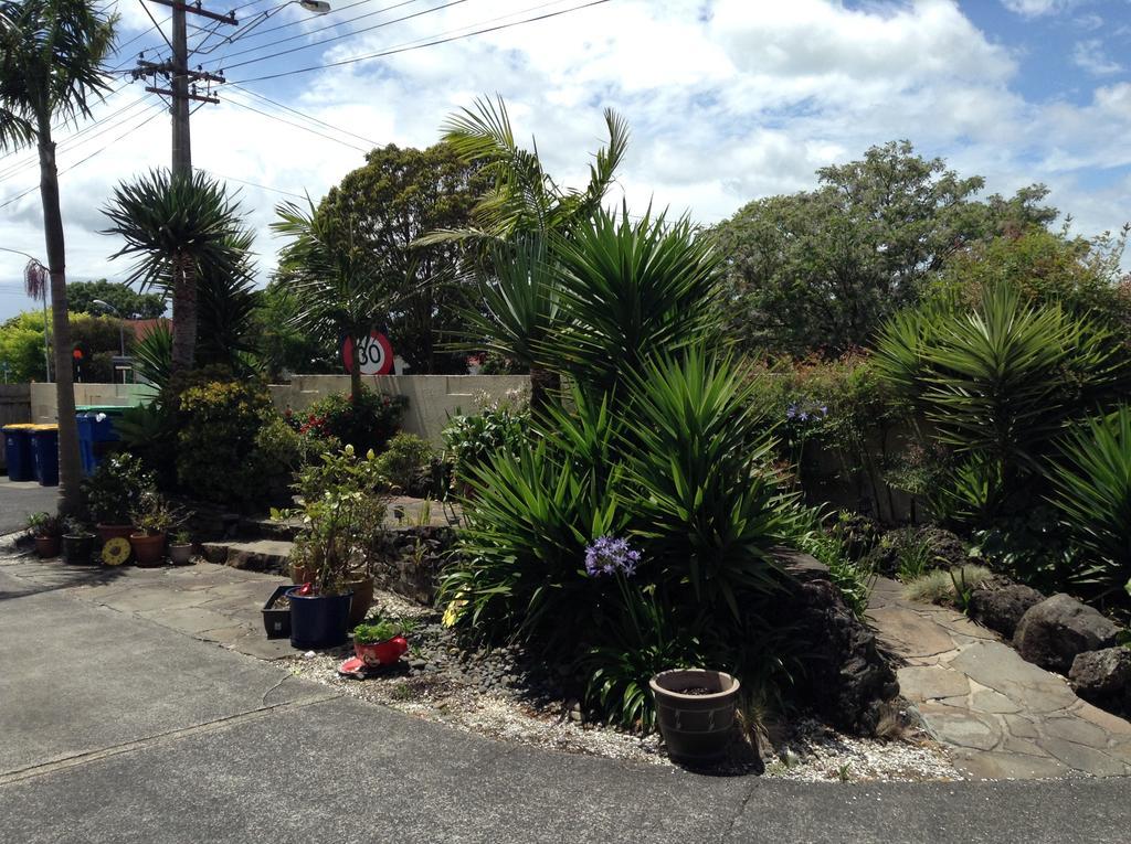 Ocean Motel Auckland