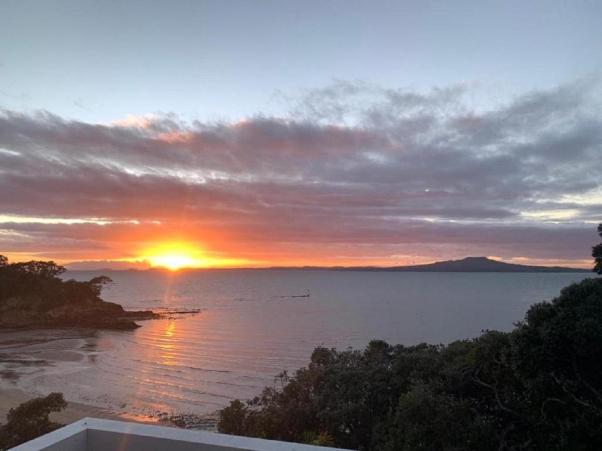 Elements Of Castor Bay * Auckland