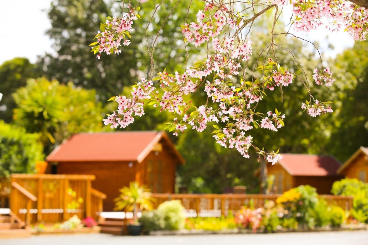 Orere Point 10 Holiday park