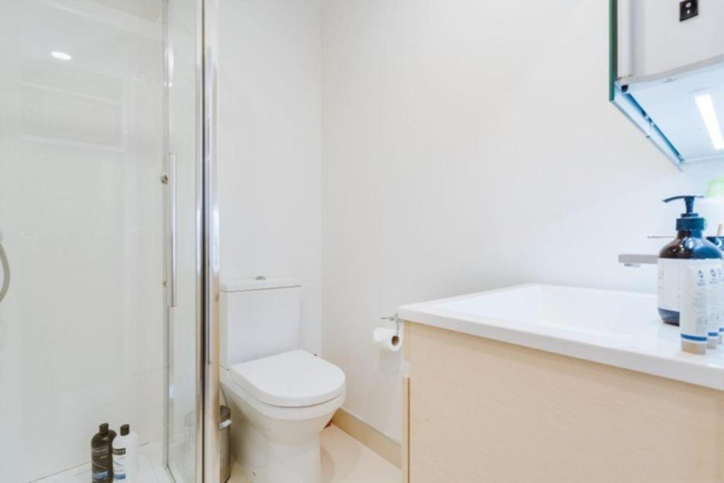 Apartment Free Wifi!! Spacious 1-bedroom Apt, Cbd Auckland