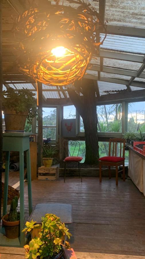 Hostel Fat Cat Eco Hostel *