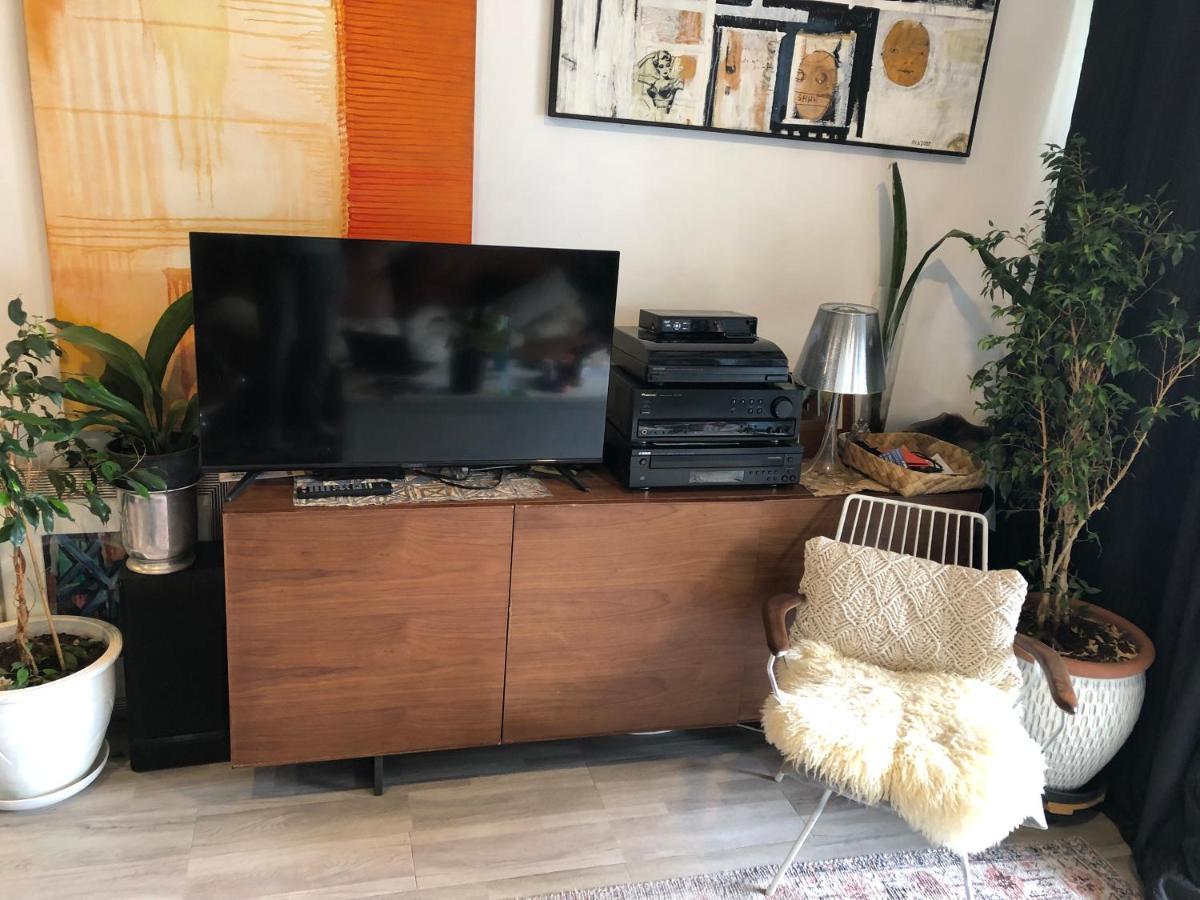 Cool Apartment, To Everything, Share With 2x Bulldogs Homestay Auckland