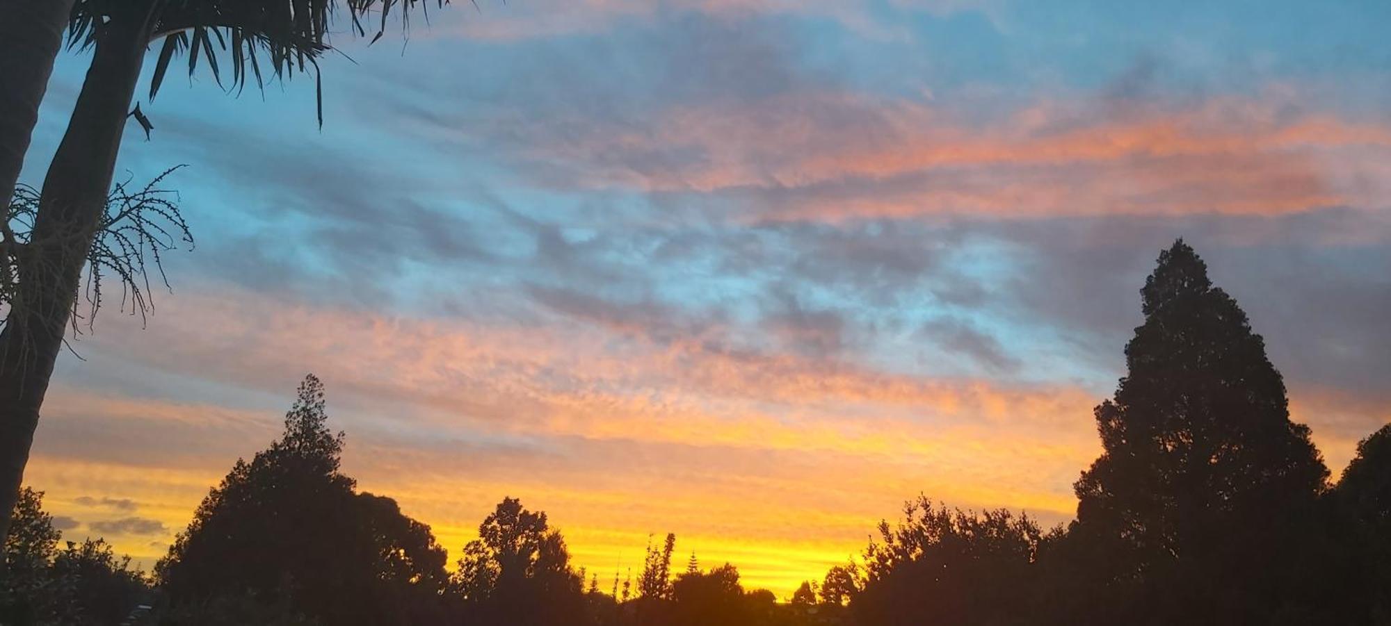 Torbay Bnb Hospedagem domiciliar Auckland