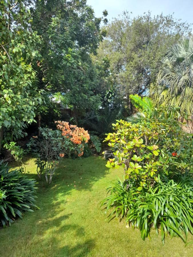 Tiko's Place Homestay