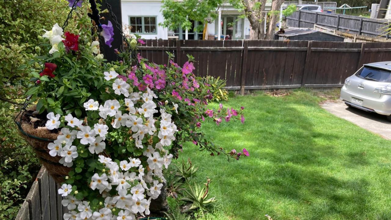 Shared In Albany Homestay