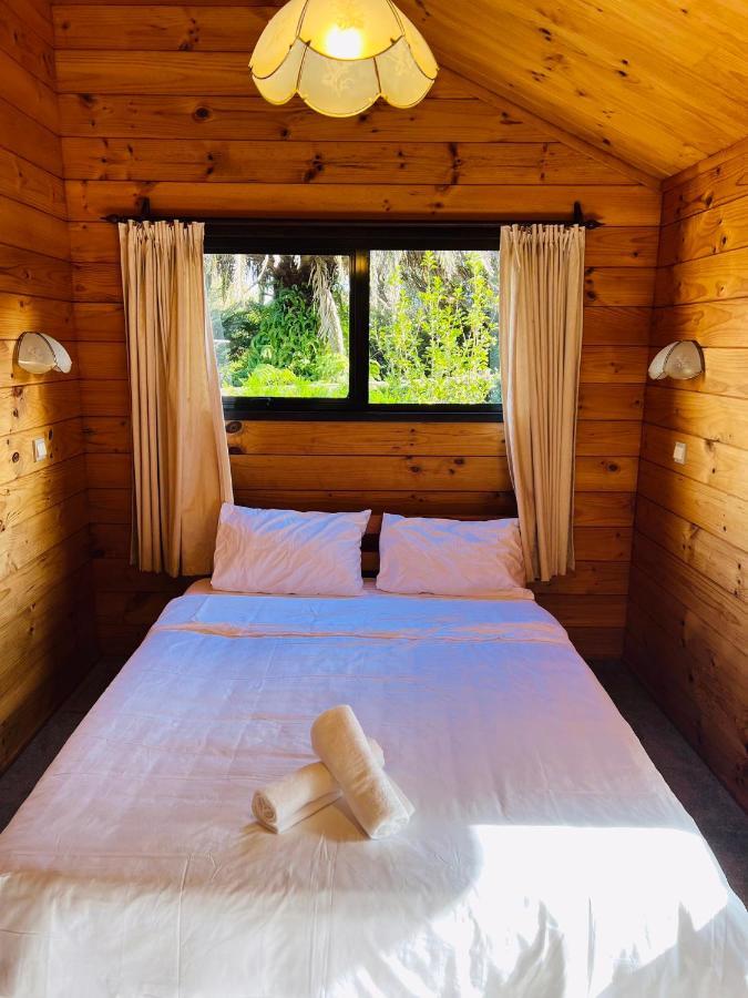 Sea&skytower View With Free Netflix, Parking Homestay